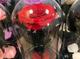 Роза в Стекле(стеклянной колбе) Подарок для Любимой / Санкт-Петербург